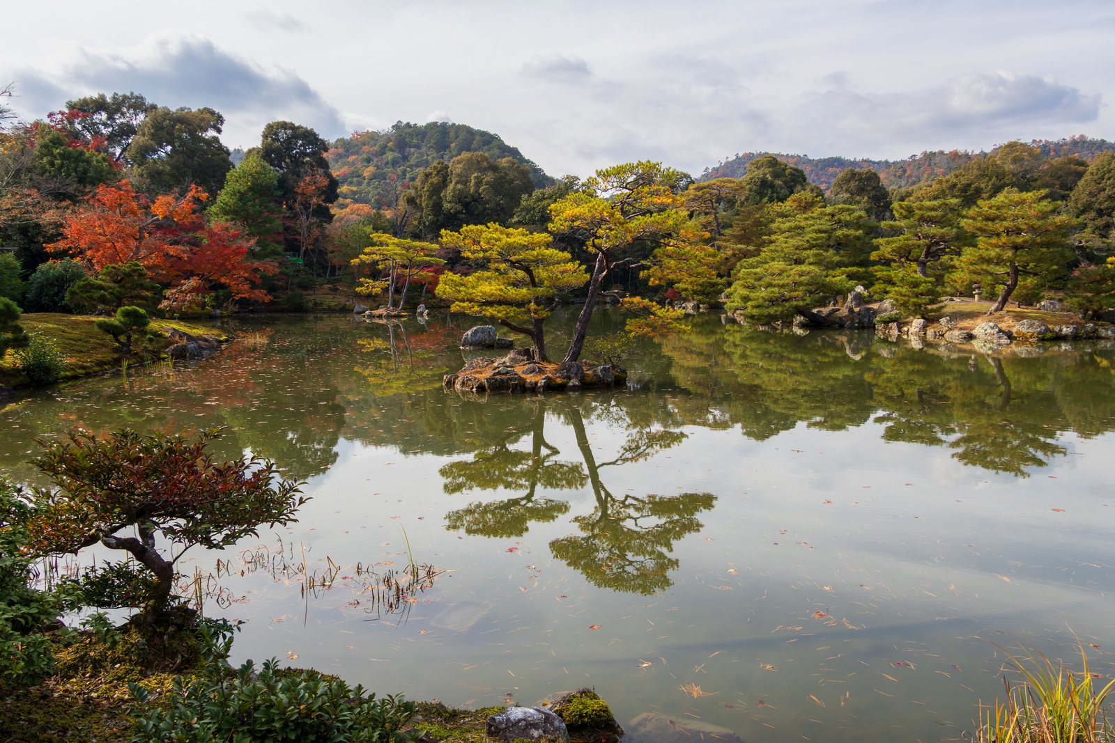 A calm temple garden in Asia
