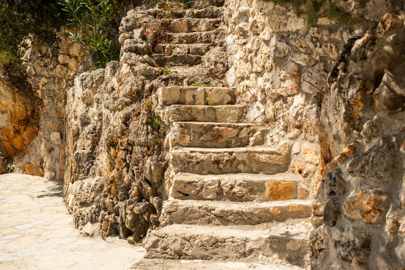Stone steps climbing the wooded hillside between the villas at Kep Merli
