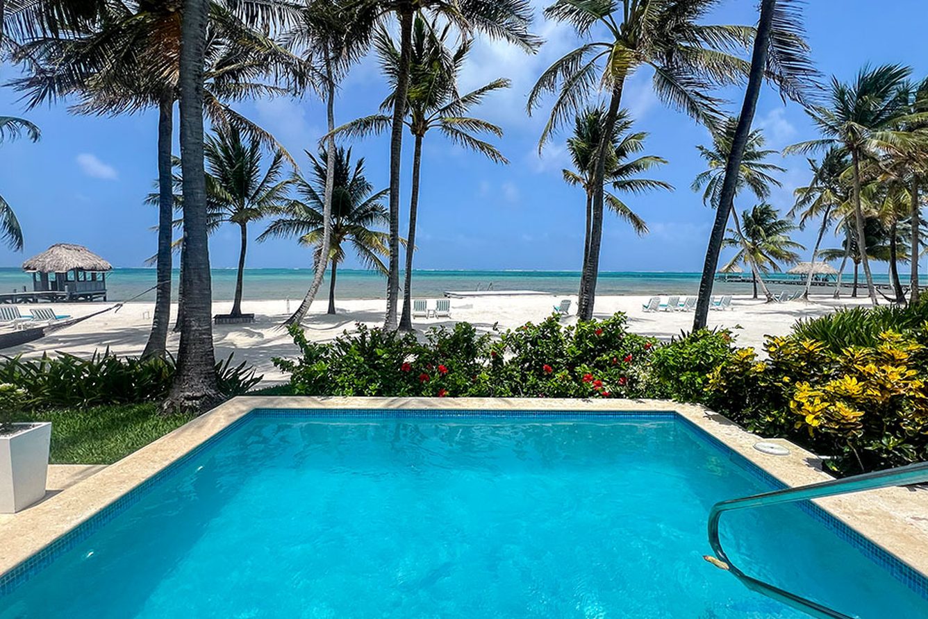 Swimming pool framed by palms, with the beach and Caribbean Sea beyond, at Victoria House Resort & Spa