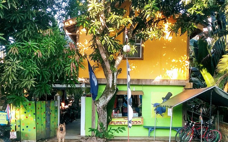 The Funky Dodo Backpackers — Hopkins · Stann Creek