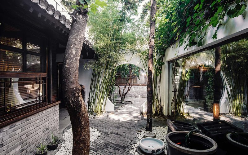 The Orchid — Beijing · Dongcheng