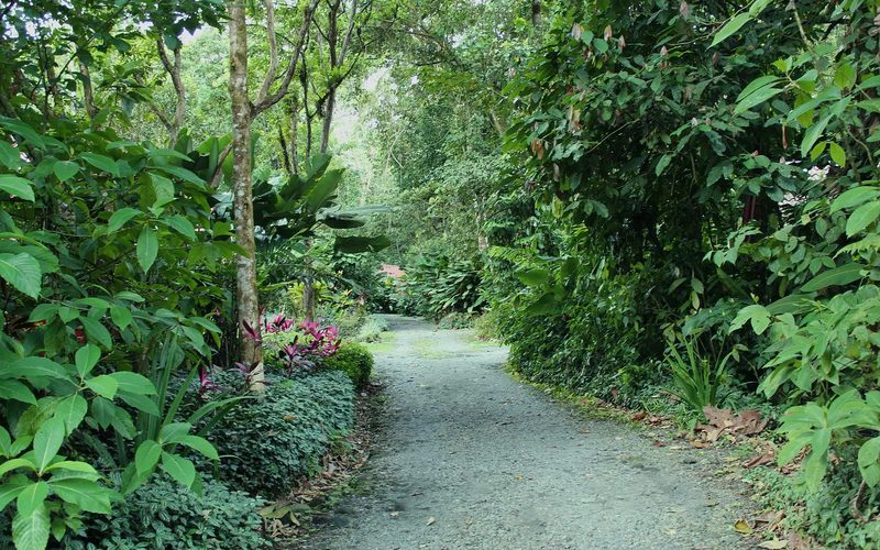 Arenal Oasis Eco Lodge & Wildlife Refuge — La Fortuna · Arenal