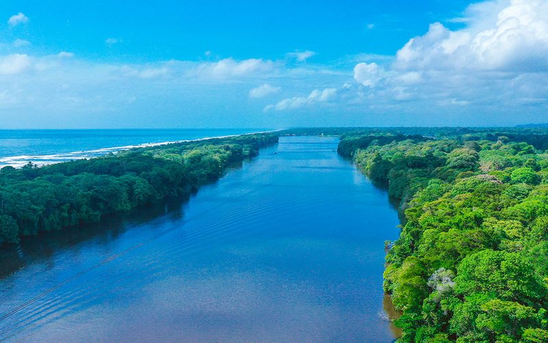 Tortuga Lodge & Gardens — Tortuguero · Caribbean Coast