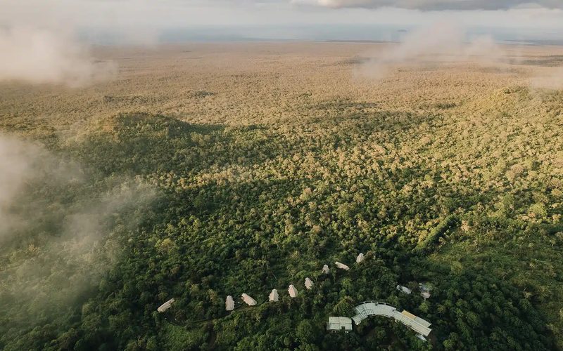 Galapagos Safari Camp — Santa Cruz Highlands · Galápagos