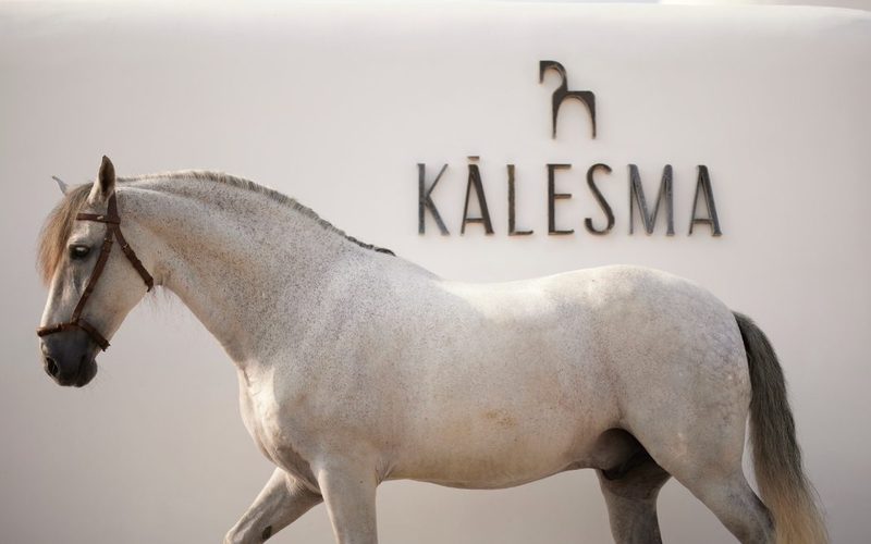 Kalesma Mykonos — Ornos · Mykonos