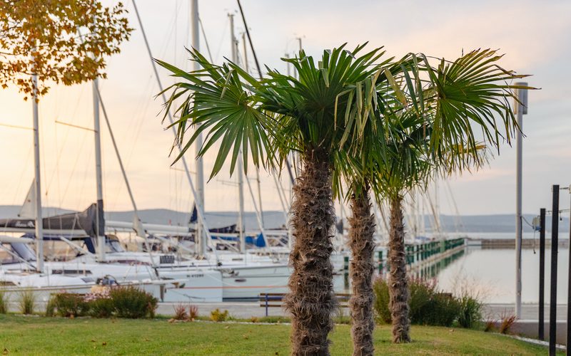 BL YachtClub & Apartments — Balatonlelle · Lake Balaton