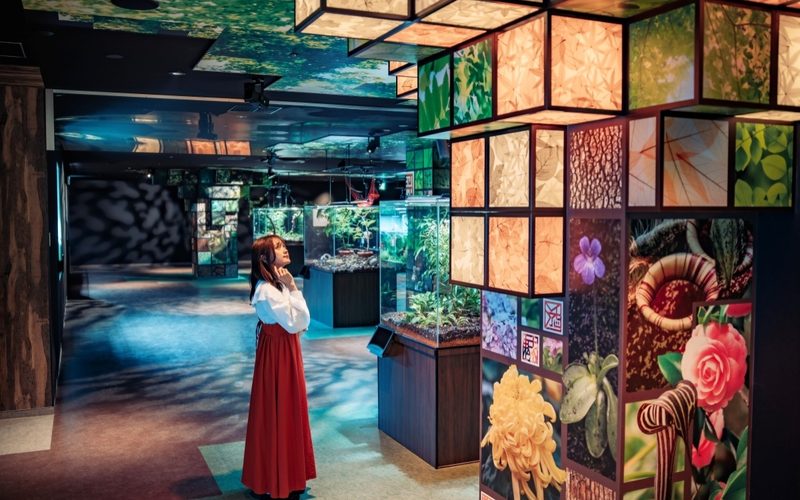 Hotel Granvia Hiroshima — Hiroshima · Hiroshima Station