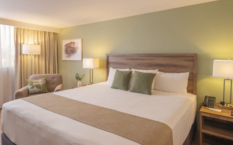 Stanza Hotel — Mexico City · CDMX