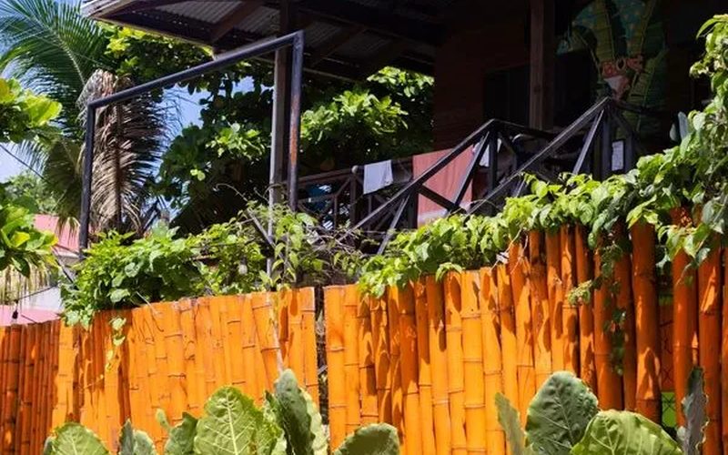 Bocas Estrella Hostel — Bocas Town · Bocas del Toro