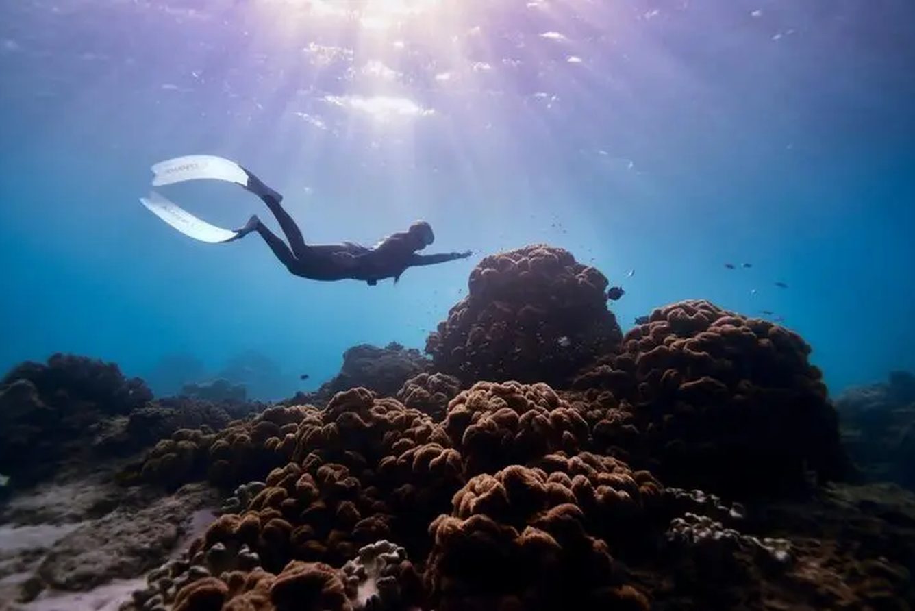 A freediver gliding over the coral reef at Amanpulo, a marine sanctuary home to green and hawksbill turtles