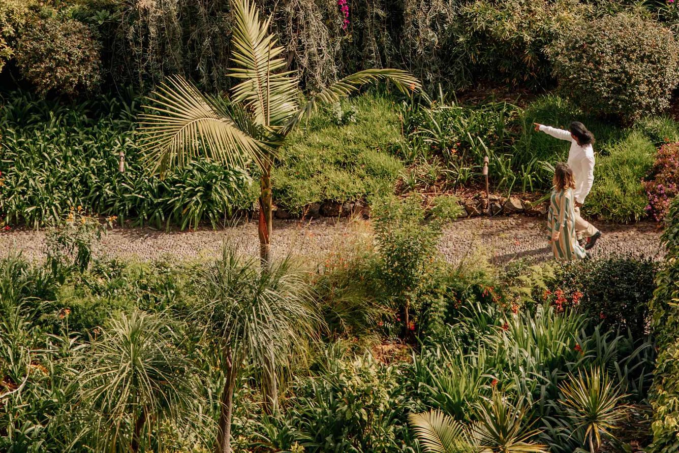 A path through the subtropical gardens at Reid's Palace, Funchal