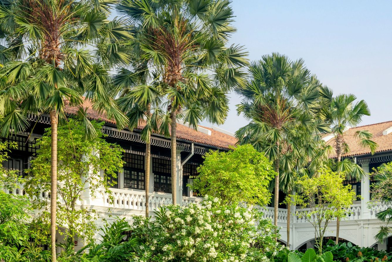 Palm trees and lawns in the Raffles gardens, with the hotel's white colonial wing behind.