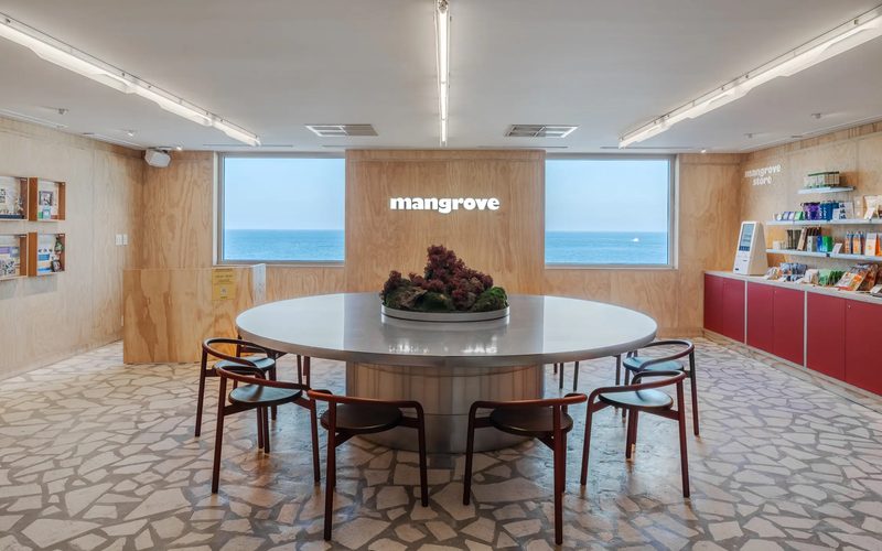 Mangrove Jeju City — Jeju City · Jeju