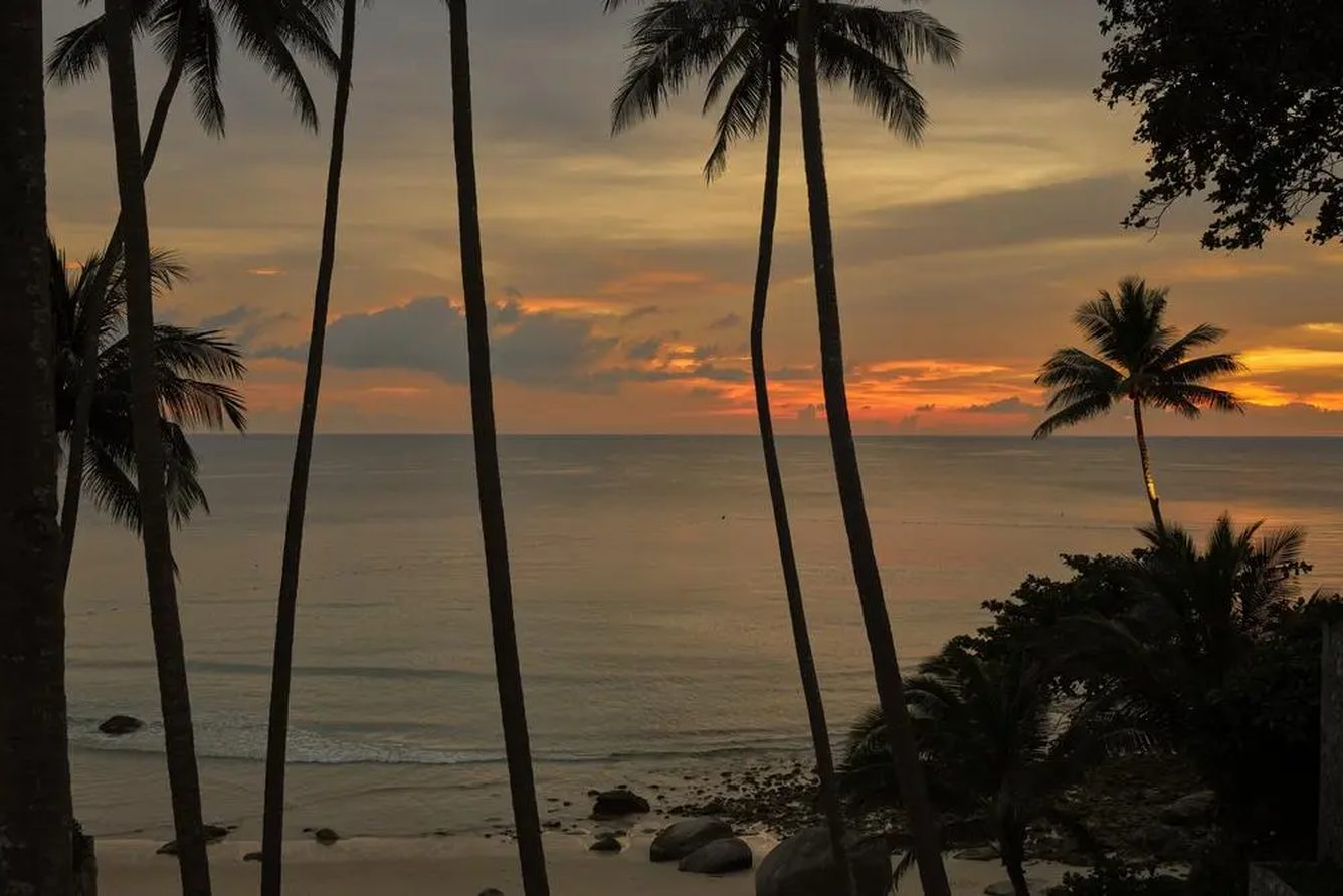 Sunset over Pansea Beach and the Andaman Sea, seen through coconut palms at Amanpuri, Phuket