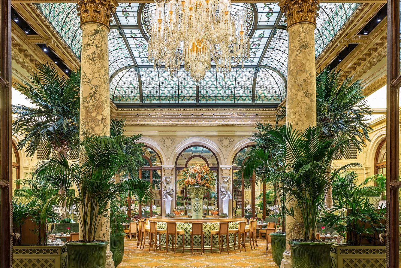 The Palm Court at The Plaza, with palm trees beneath its stained-glass dome